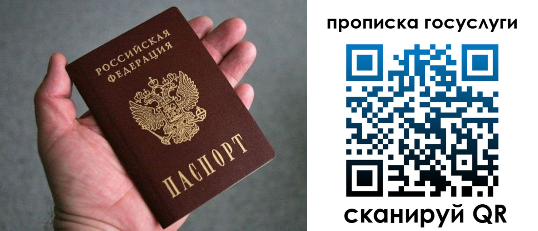 прописка 2025 в Озёрске